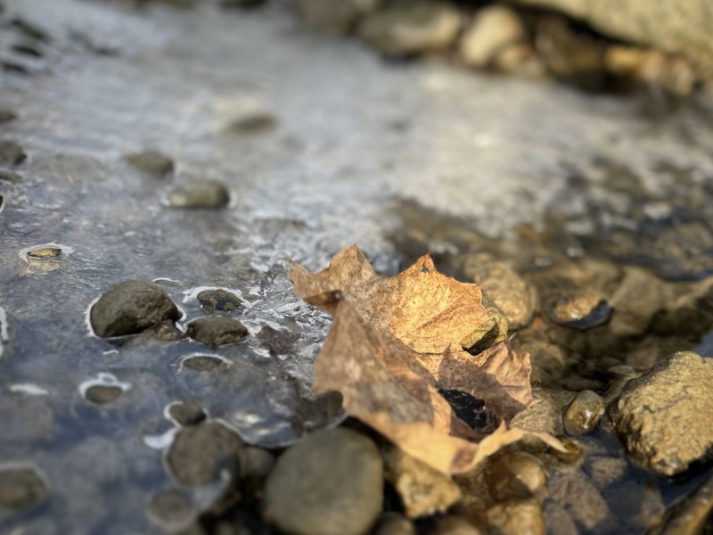 Aktuell &ndash; Ausgabe 376 vom 8. Januar 2026