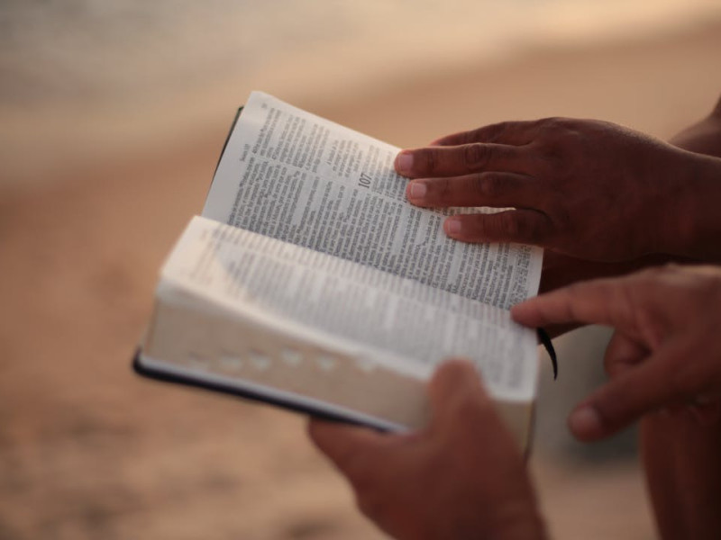 Aktuell &ndash; Ausgabe 379 vom 29. Januar 2026