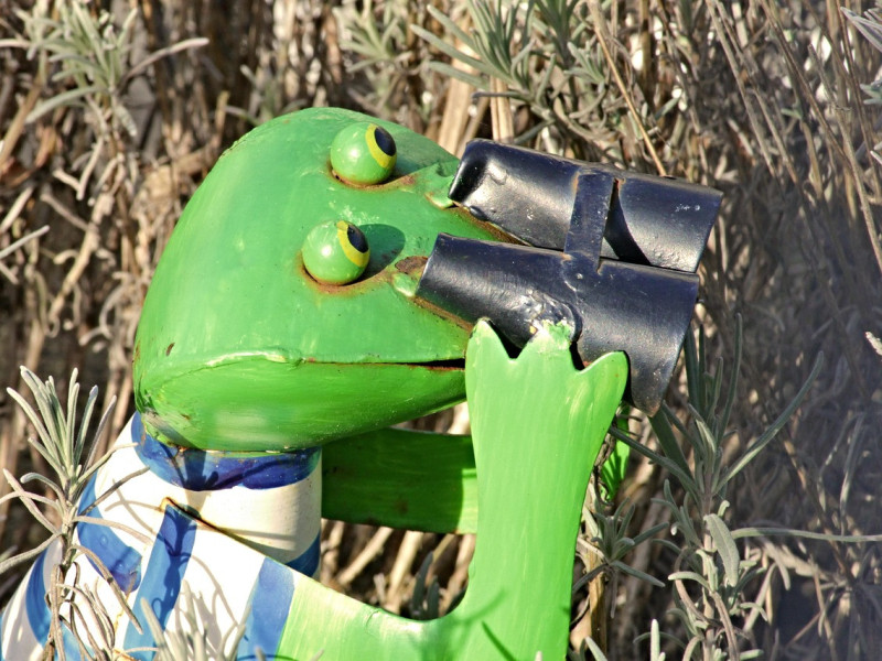 Aktuell &ndash; Ausgabe 382 vom 20. Februar 2026