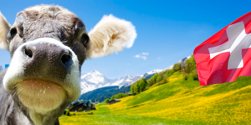 Jungschar - SoLa 2026